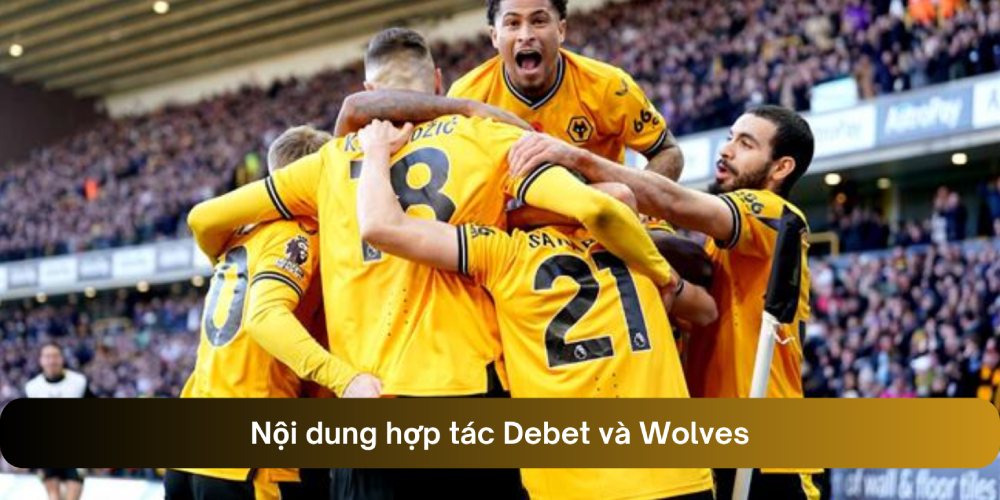 Nội dung hợp tác Debet và Wolves